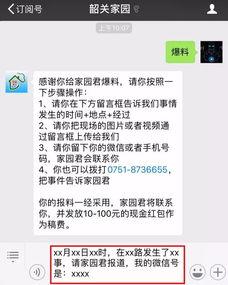 今日爆料文字图片大全集,图文并茂，揭秘热点事件背后的真相