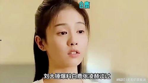 大锤爆料白鹿视频在线观看,白鹿视频在线观看,独家爆料带你一探究竟! 第2张 大锤爆料白鹿视频在线观看,白鹿视频在线观看,独家爆料带你一探究竟! 第2张