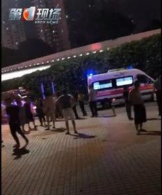 深圳小朋友最新爆料事件,揭秘校园奇闻轶事 第3张 深圳小朋友最新爆料事件,揭秘校园奇闻轶事 第3张