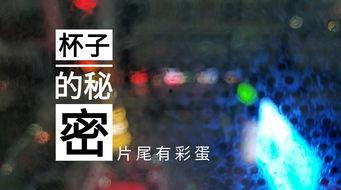 夜间酒店爆料案例视频,一窥酒店行业不为人知的一面