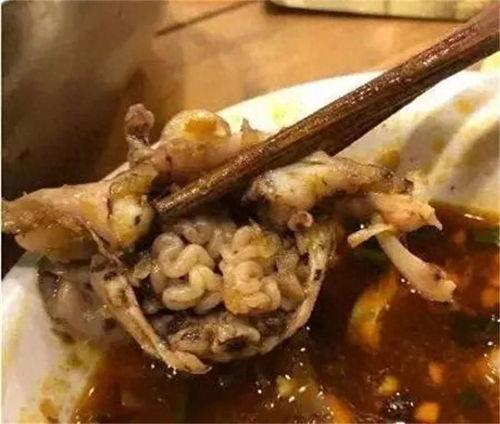 牛蛙爆料五条腿视频,揭秘神秘生物之谜 第3张 牛蛙爆料五条腿视频,揭秘神秘生物之谜 第3张