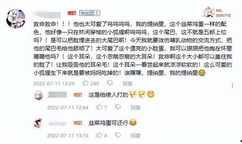 草神外网爆料视频大全,揭秘剧情与角色背后的秘密  第2张