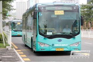 张家口公交车爆料新闻报道,惊现安全隐患，乘客呼吁加强监管