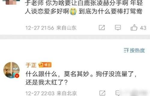 最新爆料白鹿元月行程,跨足多领域，精彩不断