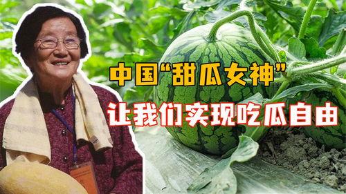 我是吃瓜人全集免费观看,揭秘娱乐圈幕后风云，免费观看全集大揭秘