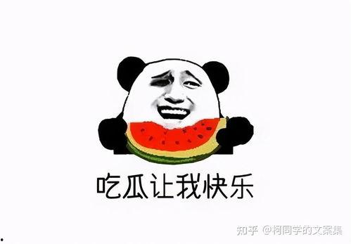 我是吃瓜人全集免费观看,揭秘娱乐圈幕后风云,免费观看全集大揭秘 第3张 我是吃瓜人全集免费观看,揭秘娱乐圈幕后风云,免费观看全集大揭秘 第3张