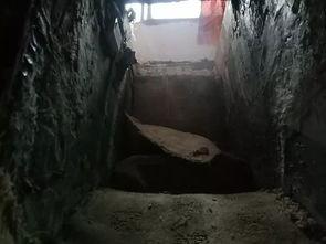 地洞视频在线观看,揭秘神秘地下世界的惊险之旅