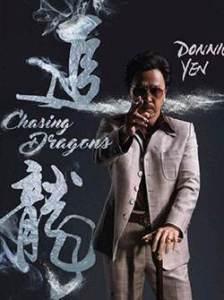 追龙粤语在线观看,热血江湖，龙争虎斗，在线观影重温经典！