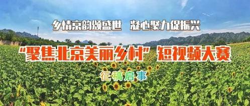 美丽乡村爆料视频,视频带你领略乡村新风貌 第2张 美丽乡村爆料视频,视频带你领略乡村新风貌 第2张