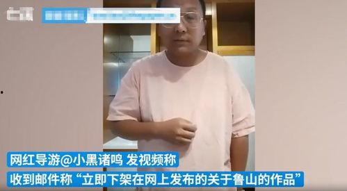 鲁山爆料者被威胁事件视频,勇敢揭露真相背后的惊心动魄