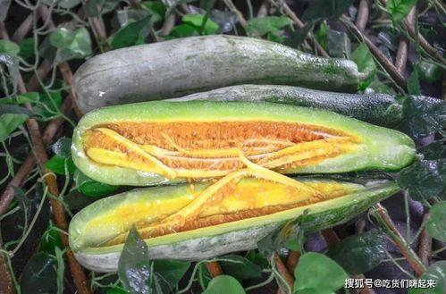 银川网红吃瓜事件,一场网络舆论的风暴与反思 第3张 银川网红吃瓜事件,一场网络舆论的风暴与反思 第3张