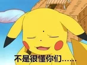 皮卡丘病毒爆料视频下载,病毒视频下载背后的真相与影响
