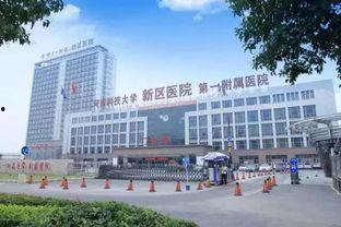 淇县人民医院爆料信息最新,揭秘医院改革与发展新篇章 第3张 淇县人民医院爆料信息最新,揭秘医院改革与发展新篇章 第3张
