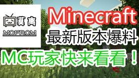 全球视频爆料,揭秘世界热点事件背后的真相