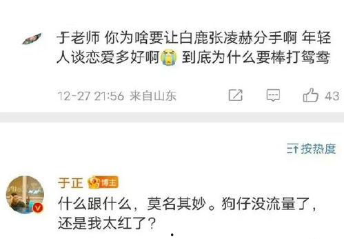 圈内人员爆料白鹿张凌赫,甜蜜互动引粉丝热议