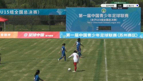 爆料足球假赛直播视频回放,揭秘假赛视频回放背后的真相
