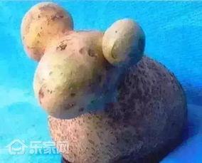 小羊798最新爆料,娱乐圈最新动态大曝光! 第1张 小羊798最新爆料,娱乐圈最新动态大曝光! 第1张