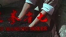 七省拳王在线观看,在线直播热血沸腾 第2张 七省拳王在线观看,在线直播热血沸腾 第2张