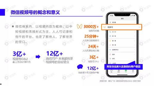 美食网友爆料视频下载安装,视频下载安装攻略大公开  第2张
