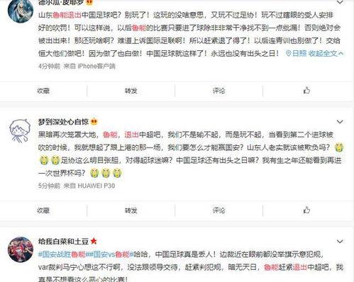 鲁能运作爆料最新消息,揭秘运作背后的独家爆料  第2张