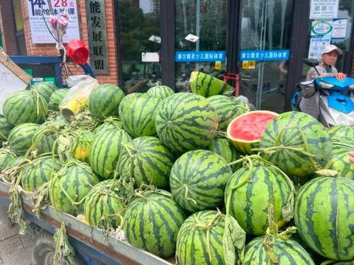 琼海网红吃瓜群微信,揭秘微信朋友圈里的热门话题与幕后故事  第3张