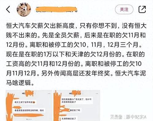 恒大内部员工最新爆料,揭秘恒大集团真实困境与未来走向