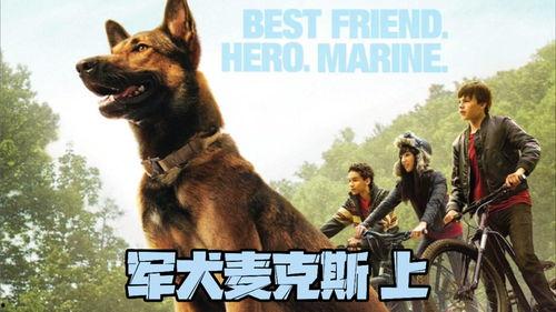 军犬麦克斯1在线观看,忠诚守护，战火中的生死相依  第2张