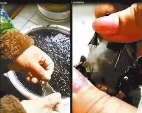 紫菜制作爆料视频大全,全方位爆料视频大盘点  第2张