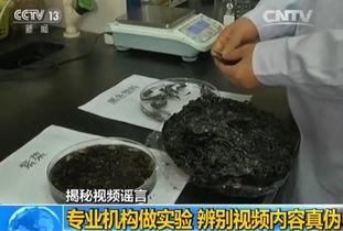 紫菜制作爆料视频大全,全方位爆料视频大盘点  第3张
