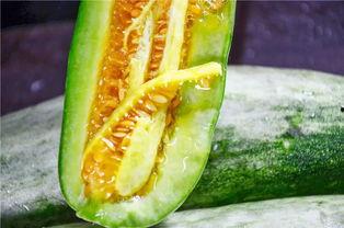 被吃瓜的网红是谁,揭秘背后真相  第3张