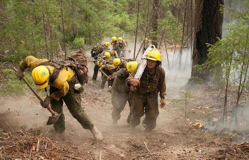 云南爆料野外消防事件最新,紧急救援与生态守护的较量