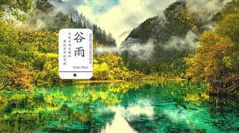 谷雨在线观看,探索自然之美，感受生命律动  第3张