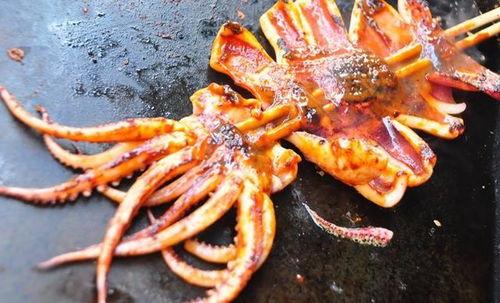 冰鲜大鱿鱼爆料方法视频,轻松解锁美味烹饪秘诀  第2张