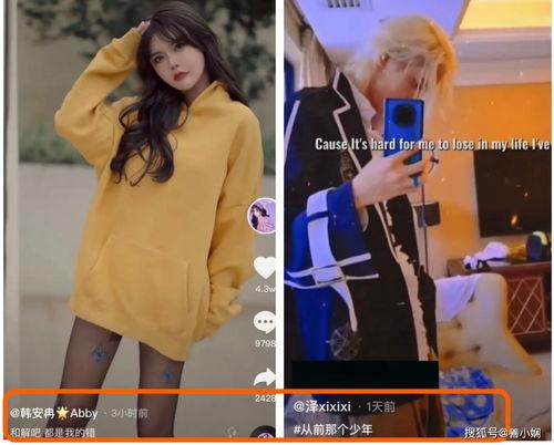 小红书爆料韩安冉视频,揭秘网红生活的真实面貌  第3张