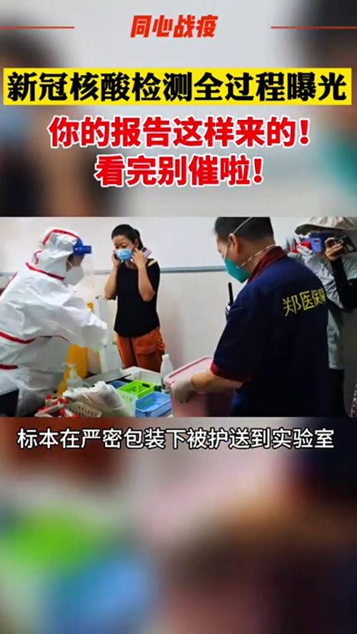 核酸爆料视频完整版大全,完整版大全深度解析