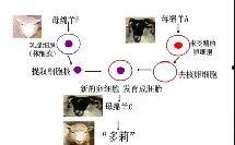 核酸爆料视频完整版大全,完整版大全深度解析  第3张
