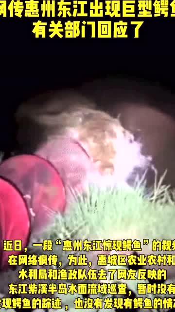 惠州抖音新闻爆料视频  第3张