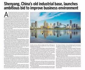 沈阳爆料最新新闻视频,视频揭露惊人真相，事件详情曝光  第3张