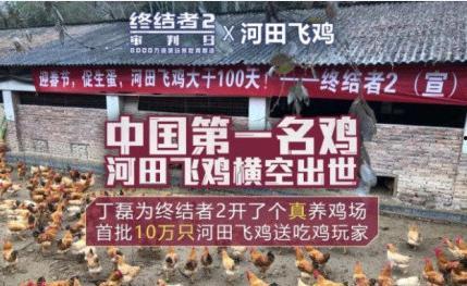 鸡场老板爆料视频播放在线观看,揭秘养殖行业背后真相  第2张