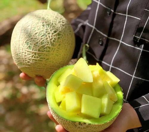 娱乐圈吃瓜必备,揭秘明星幕后故事与八卦风云  第3张