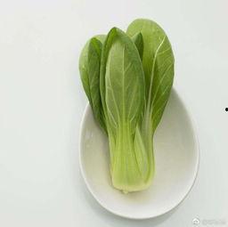 青菜爆料视频在线观看,揭秘幕后真相，带你走进事件核心