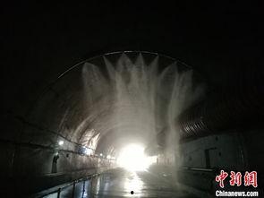 隧道2016在线观看,2016年经典影视作品在线重温之旅  第2张