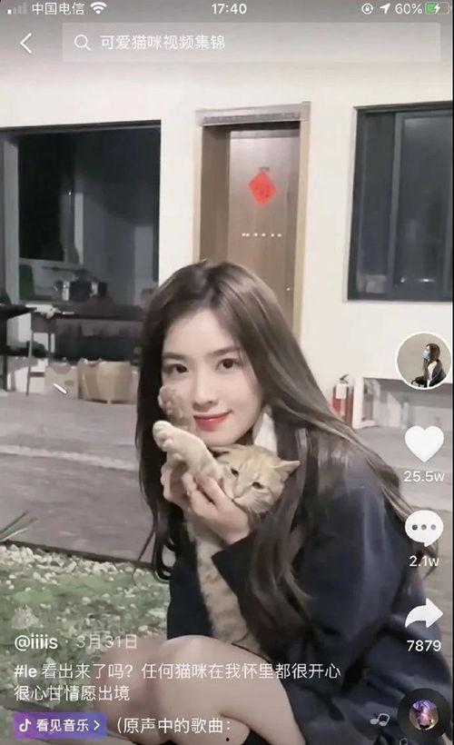 近期网红吃瓜女,揭秘娱乐圈幕后真相，带你领略“瓜田”风云  第3张