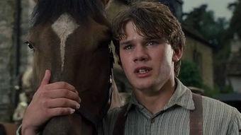 战马免费在线观看