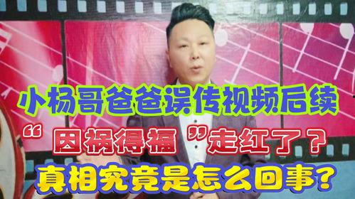 爆料视频小杨哥是真的吗,爆料视频背后的真相  第2张