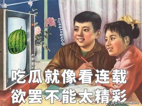 娱乐圈文里的吃瓜人小说,吃瓜群众的甜蜜复仇记  第3张