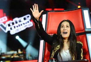 爆料那英夜场出道视频合集,揭秘歌手背后的夜场传奇  第3张