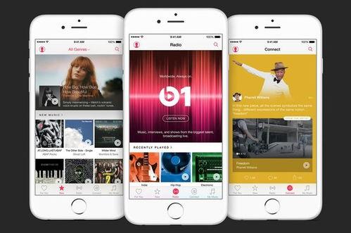 央视爆料苹果视频下载,苹果视频下载背后的秘密与真相