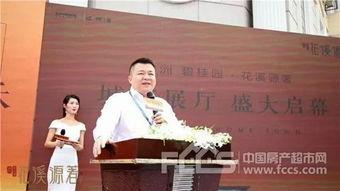 碧桂园最新爆料新闻,揭秘项目进展与市场动态  第2张