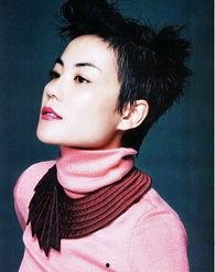 娱乐圈爆料王菲,娱乐圈背后的神秘魅力  第3张